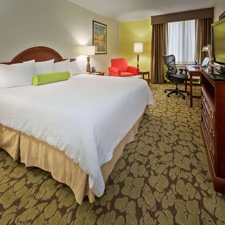 Hilton Garden Inn Lafayette/Cajundome-3