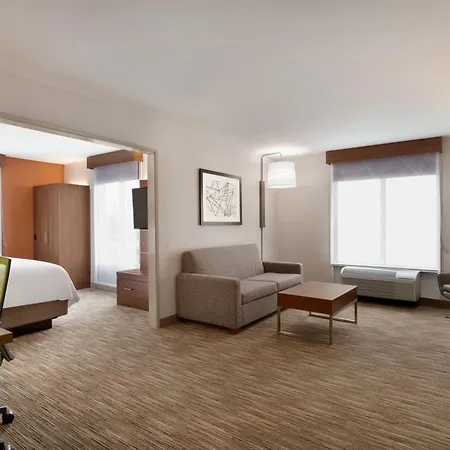 Holiday Inn Express & Suites Auburn - University Area By Ihg-2