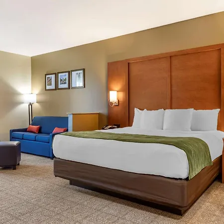 Comfort Inn & Suites Orangeburg-3