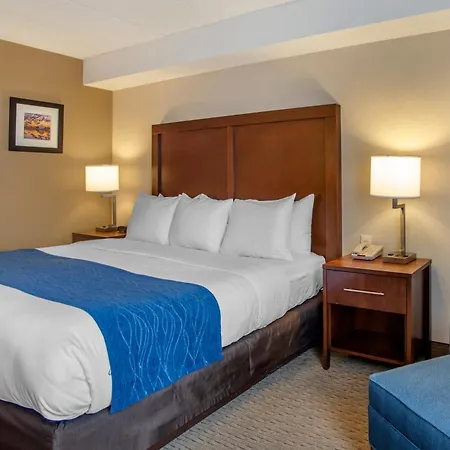 Comfort Inn Shady Grove - Gaithersburg - Rockville-3