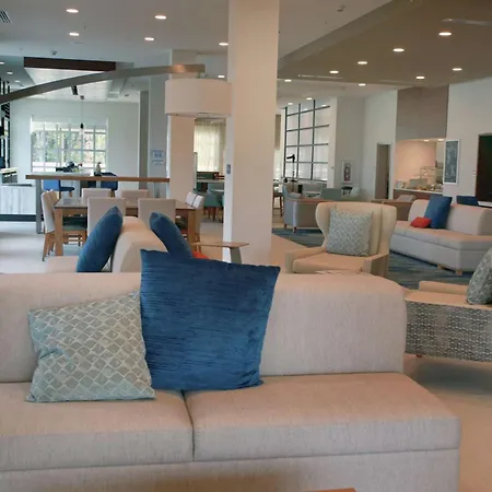 Hilton Garden Inn Tampa - Wesley Chapel-3