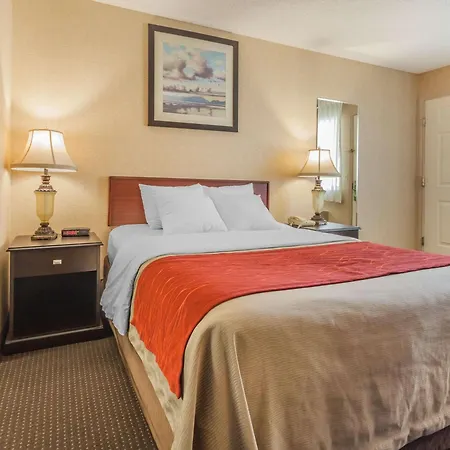 Comfort Inn On The Bay-2