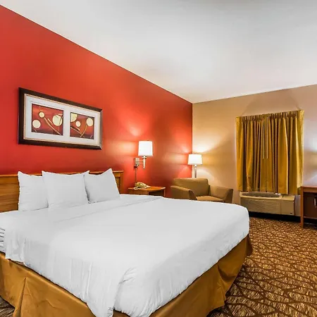 Quality Inn & Suites Chesterfield Village-2