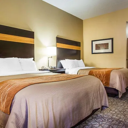 Comfort Inn & Suites At Stone Mountain-2