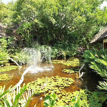 Leopard Beach Resort&Spa-3
