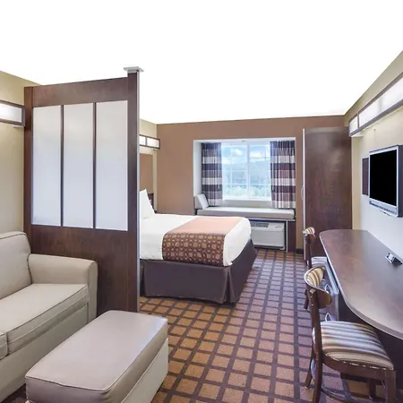 Microtel Inn & Suites By Wyndham Ozark-2