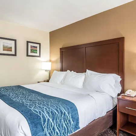 Comfort Inn & Suites - Hannibal-3