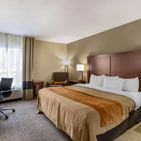 Comfort Inn Walcott Near Davenport-2