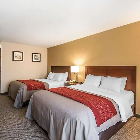 Quality Inn & Suites Bethany-3
