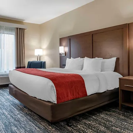 Comfort Inn & Suites Downtown Near University-2