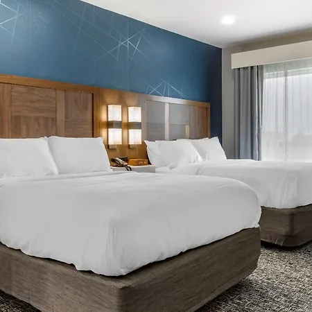 Comfort Suites Greenville Airport-2