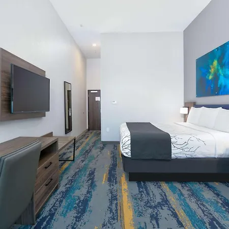 La Quinta Inn & Suites By Wyndham Dallas/Fairpark-2