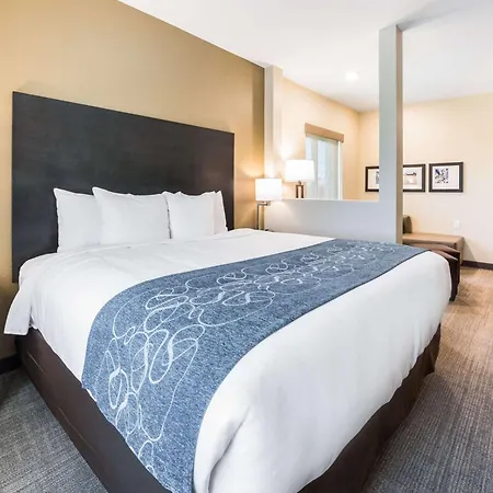 Comfort Suites Marysville Columbus - Northwest-2