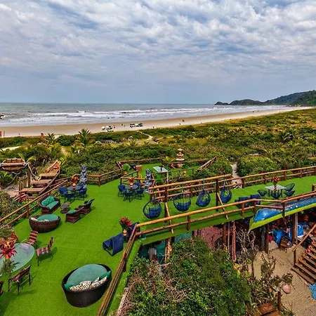 Grajagan Surf Resort-3