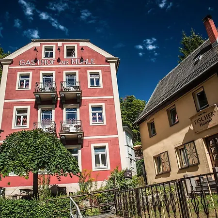 Hotel Zur Mühle-2