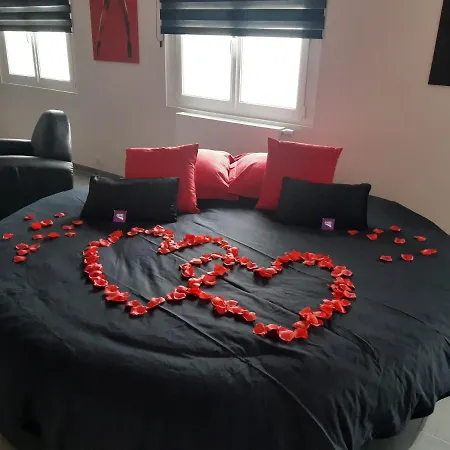 Ds Plaisir Love Room Avec Sauna, Jacuzzi A Nancy-2