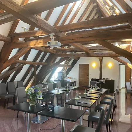 Kaiser Boutique Hotel bei Heidelberg-3
