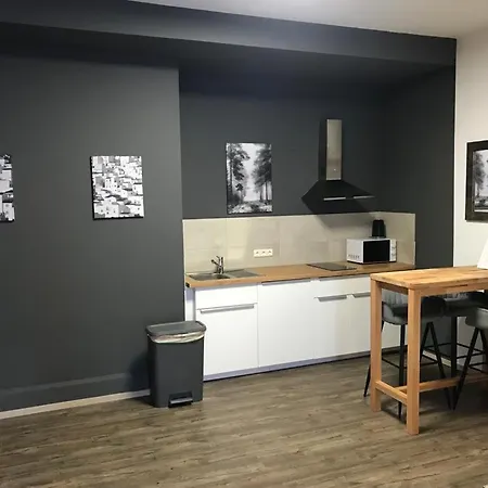 Maxim Apartments Mainz-3