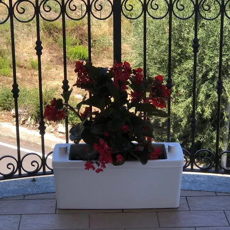 B&B Rosa dei Venti-2