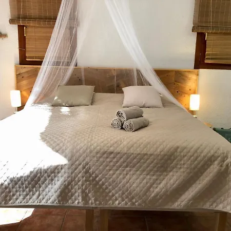 Casa Olivia-3