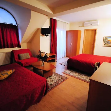 VIP Hotel SKOPJE - New Management-3