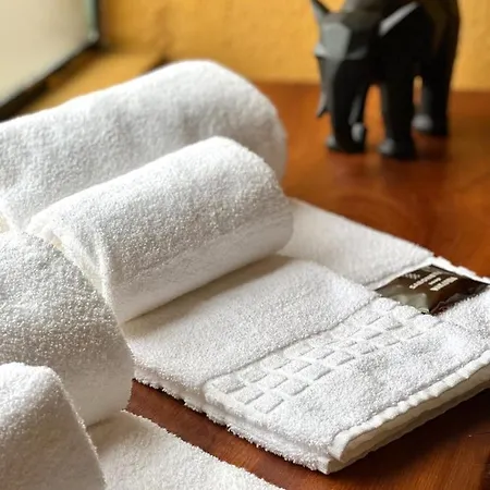 Wakanda Hotel-3
