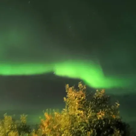 Aurora Rooms In Shared Apartment Nr2 We Are Doing Privet Northen Lights Trips, Reindeer Trip And Fjord Sommaroy Trip-3