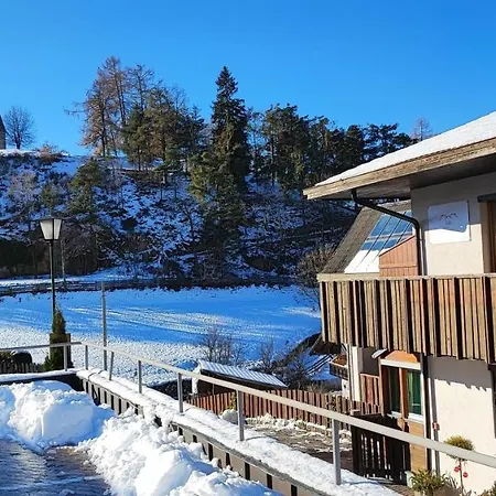 Pension Fellis-2