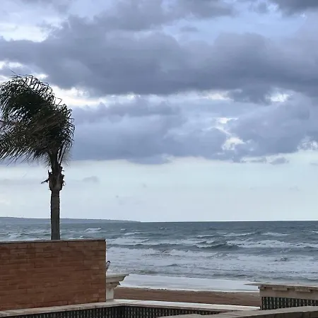 L'Onda-2