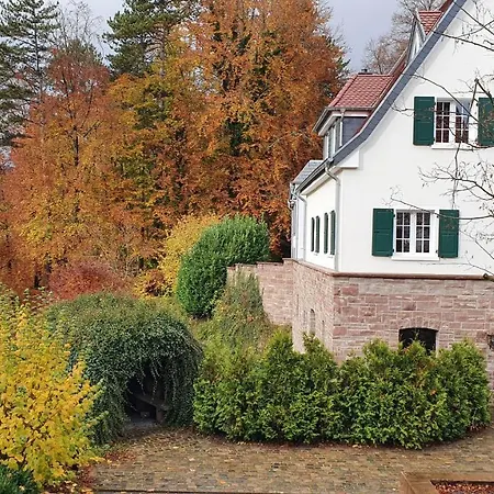 Gut Lindenfels-3