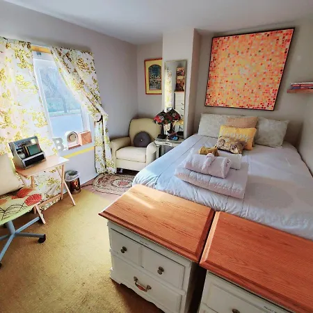 Room In Apartment - Cozy Yellow Queen Bed By Yale U-2