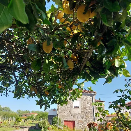 Quinta Da Ponte-3