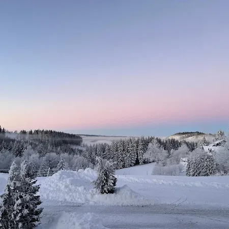 Berghotel Lenneplätze Winterberg-3