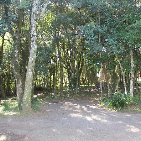 Pousada Floresta Negra-2