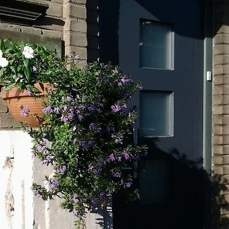 B&B Joke de Groot-3