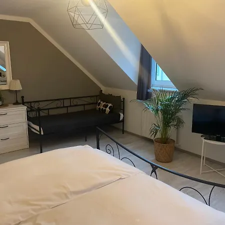 Hotel-Gasthof Grüner Hof-3
