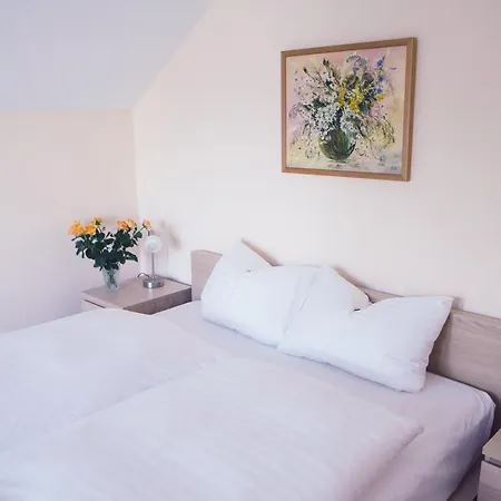 Hotel - Pension Vesta-3