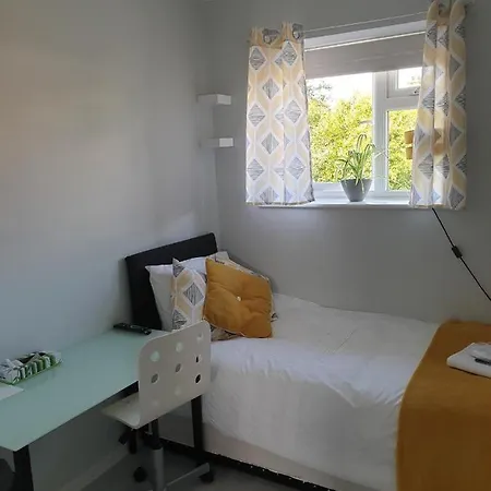 Comfortable Rooms In The House-3