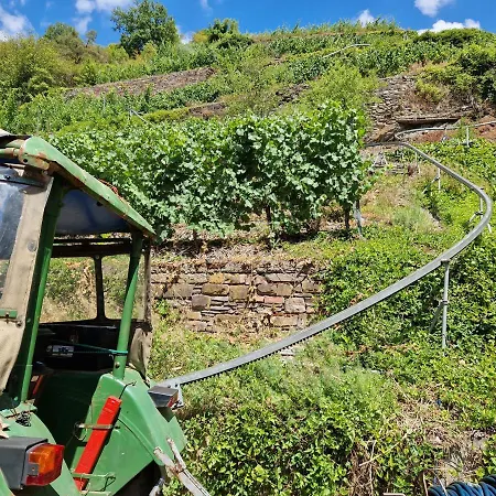 Weingut Haxel-3