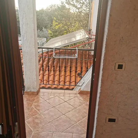 B&B Feral-3