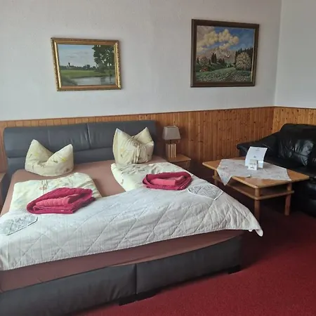 Pension Zur Elbe-2