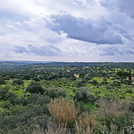 Vinciucci-3