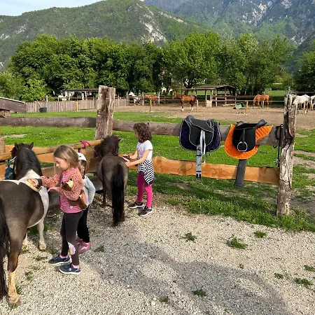 Agritur Airone Bed & Camping-2