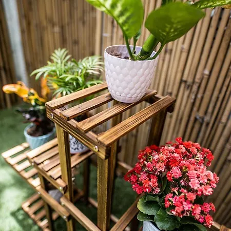 Dizengoff Square Garden - By Bar Collection-3