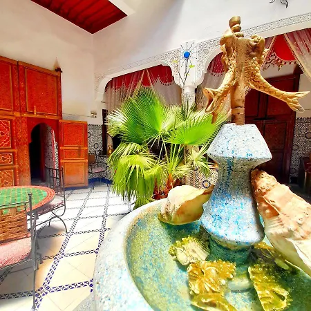 Riad Chennaoui-2