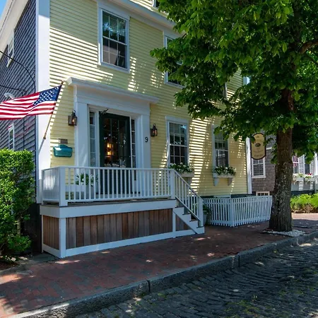 Nantucket Periwinkle-3