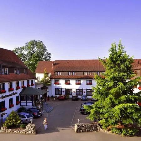 Hotel Gerbe-2