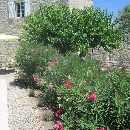 Mas De La Garrigue-3