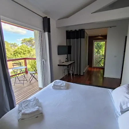 Lafitenia Resort Villa Cenitz-3