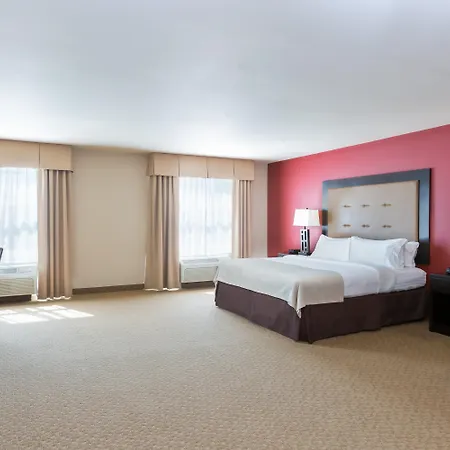 Holiday Inn Temple - Belton By Ihg-3